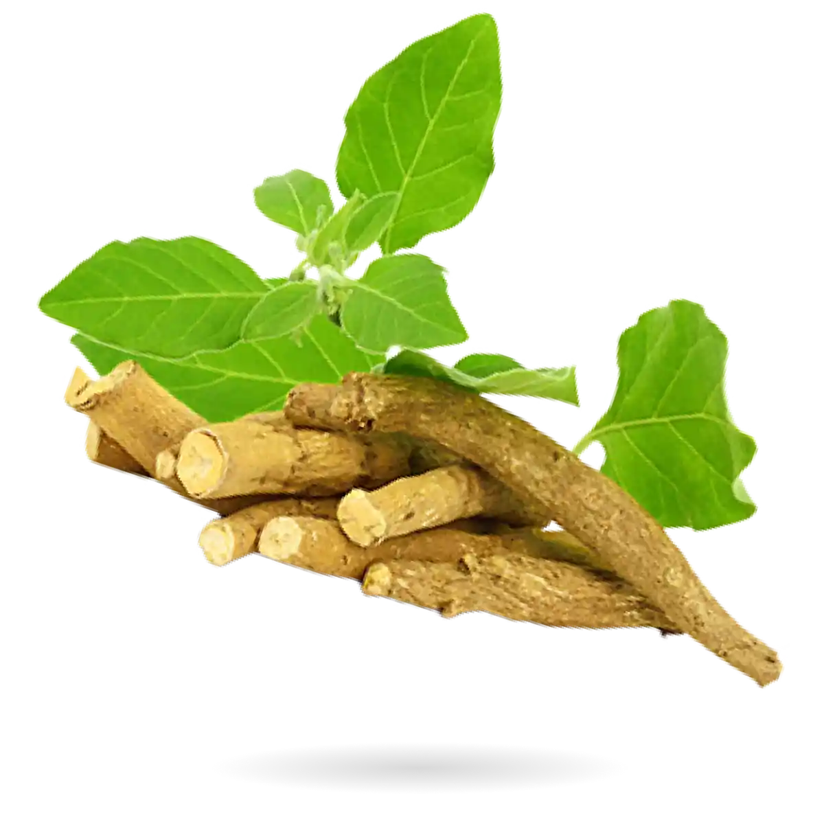 Cacao Ingredient